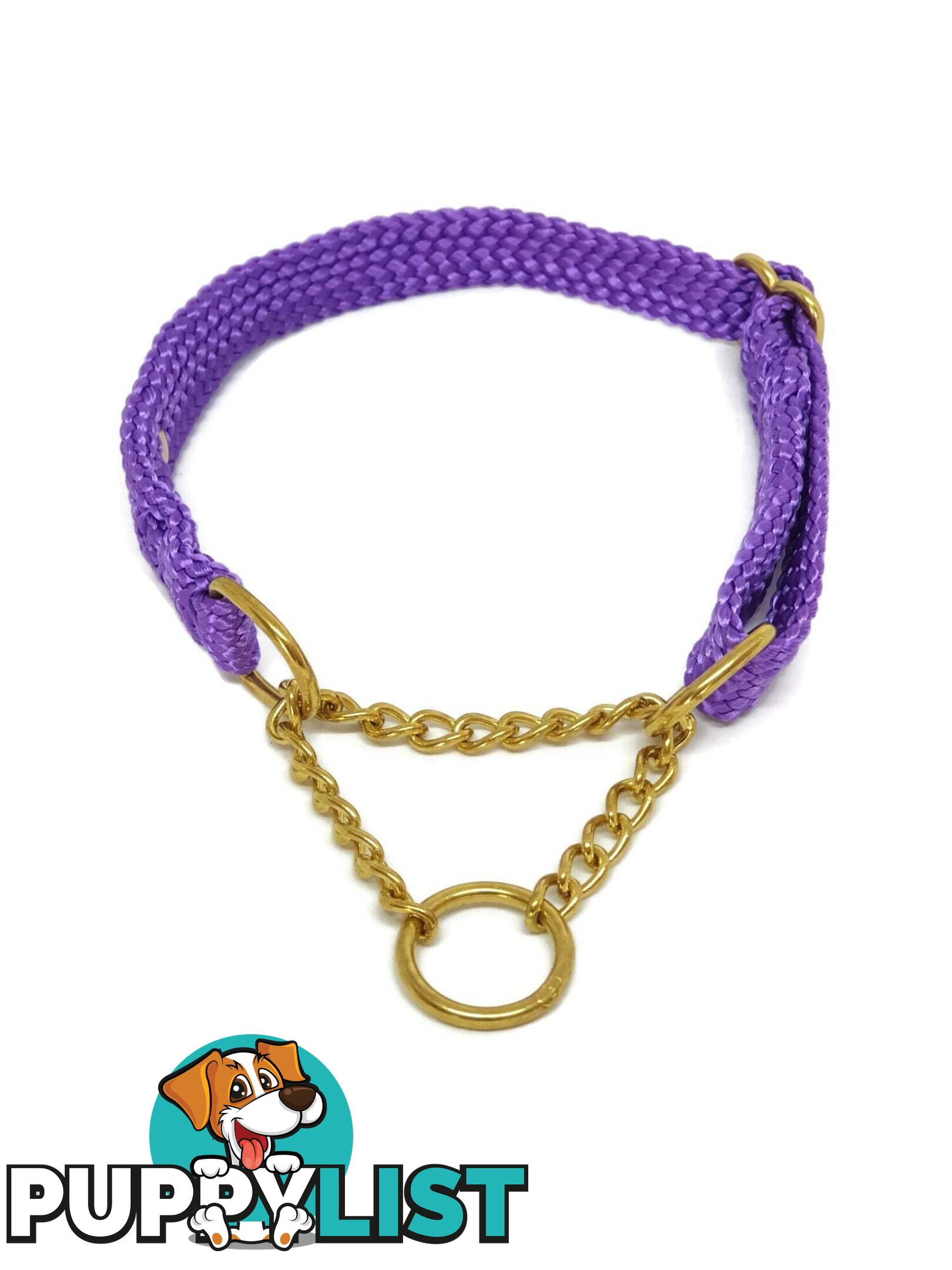 Martingale Dog Collars No Stitching Tough Yarnix - YNXCOLMARM10PUR