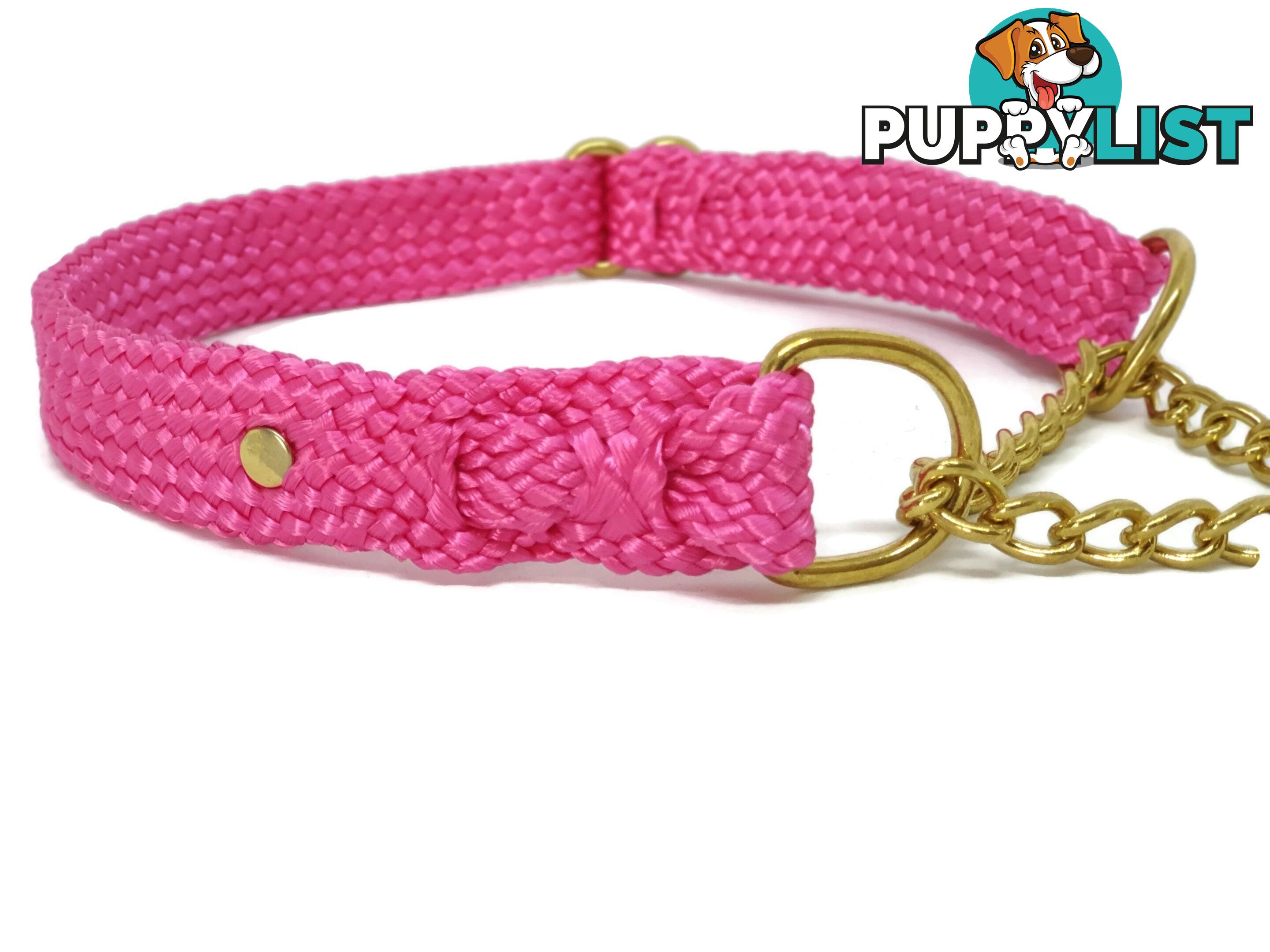 Martingale Dog Collars No Stitching Tough Yarnix - YNXCOLMARM10PUR