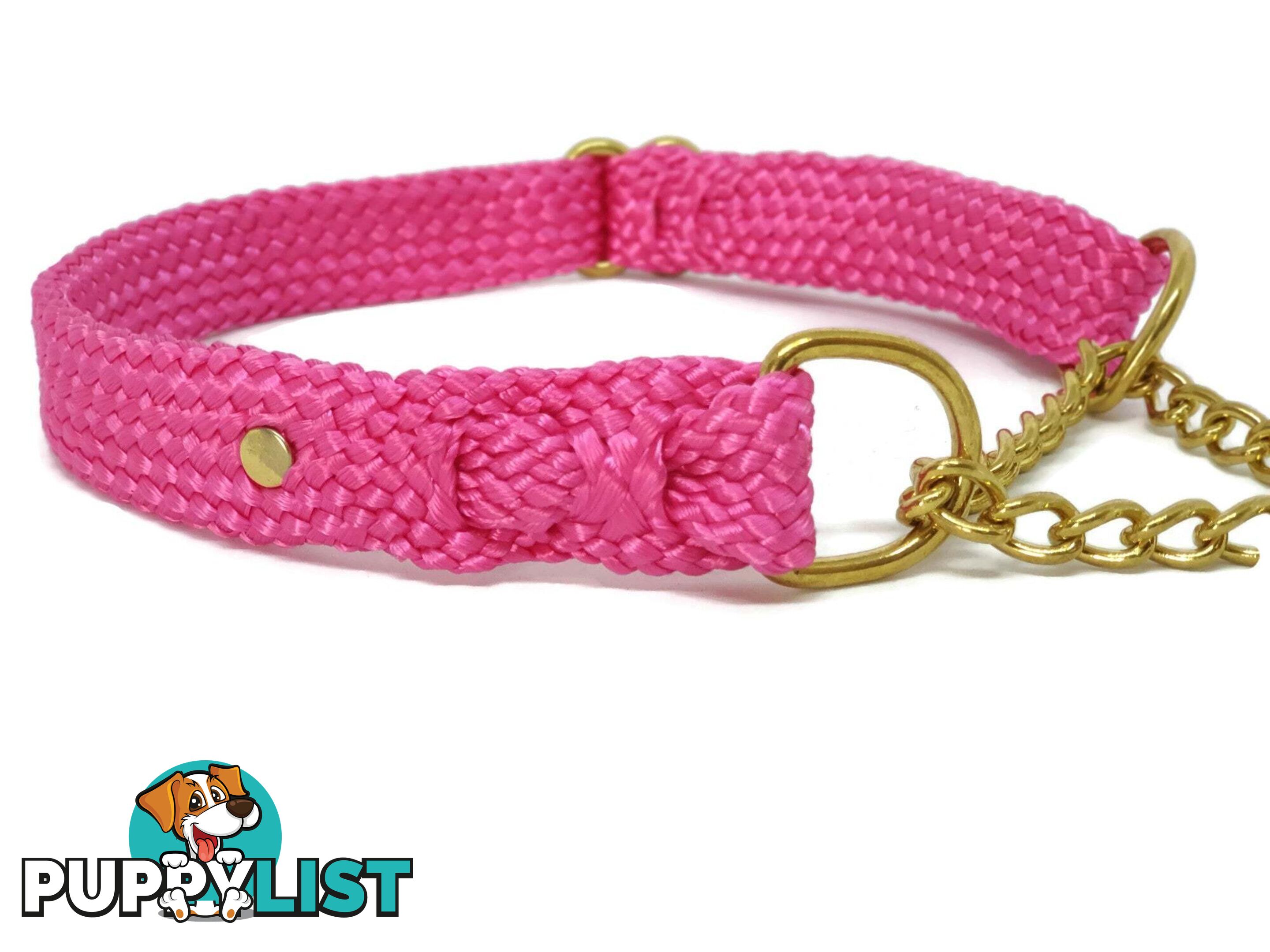 Martingale Dog Collars No Stitching Tough Yarnix - YNXCOLMARM10PUR