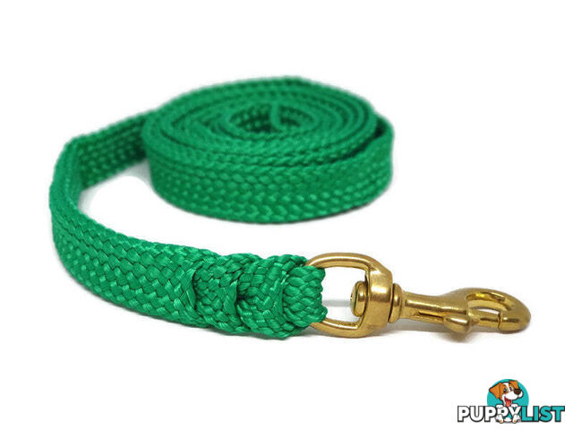 1.8m to 10m Long Dog Lead No Stitching Tough Yarnix 20mm Wide - YNXLD2010BRREDGRN