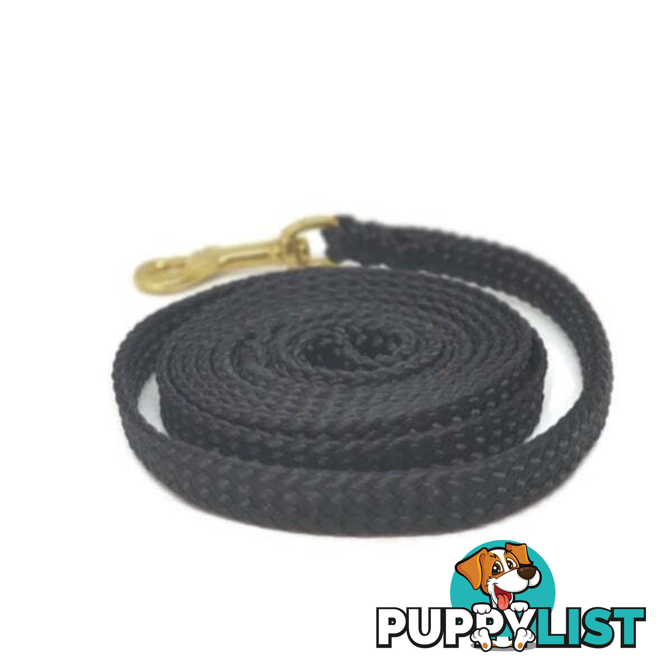 1.8m to 10m Long Dog Lead No Stitching Tough Yarnix 10mm Wide - YNXLD10-5-YEL-BR