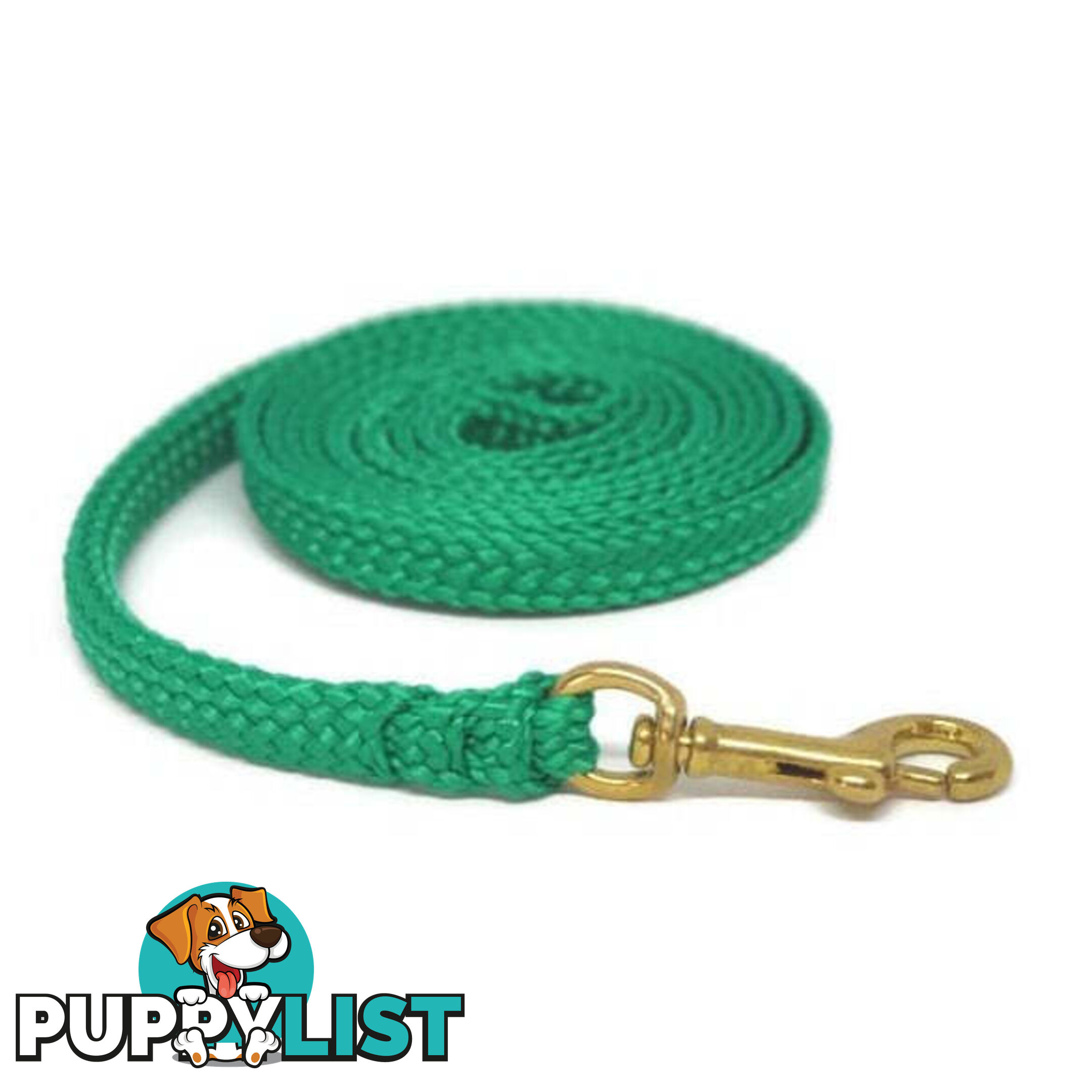 1.8m to 10m Long Dog Lead No Stitching Tough Yarnix 10mm Wide - YNXLD10-5-YEL-BR