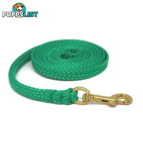 1.8m to 10m Long Dog Lead No Stitching Tough Yarnix 10mm Wide - YNXLD10-5-YEL-BR