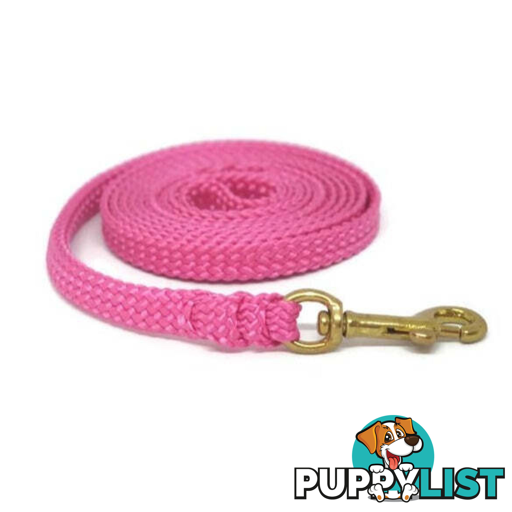 1.8m to 10m Long Dog Lead No Stitching Tough Yarnix 10mm Wide - YNXLD10-5-YEL-BR