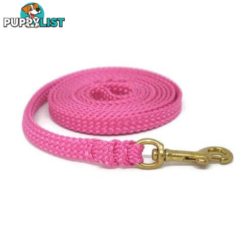 1.8m to 10m Long Dog Lead No Stitching Tough Yarnix 10mm Wide - YNXLD10-5-YEL-BR