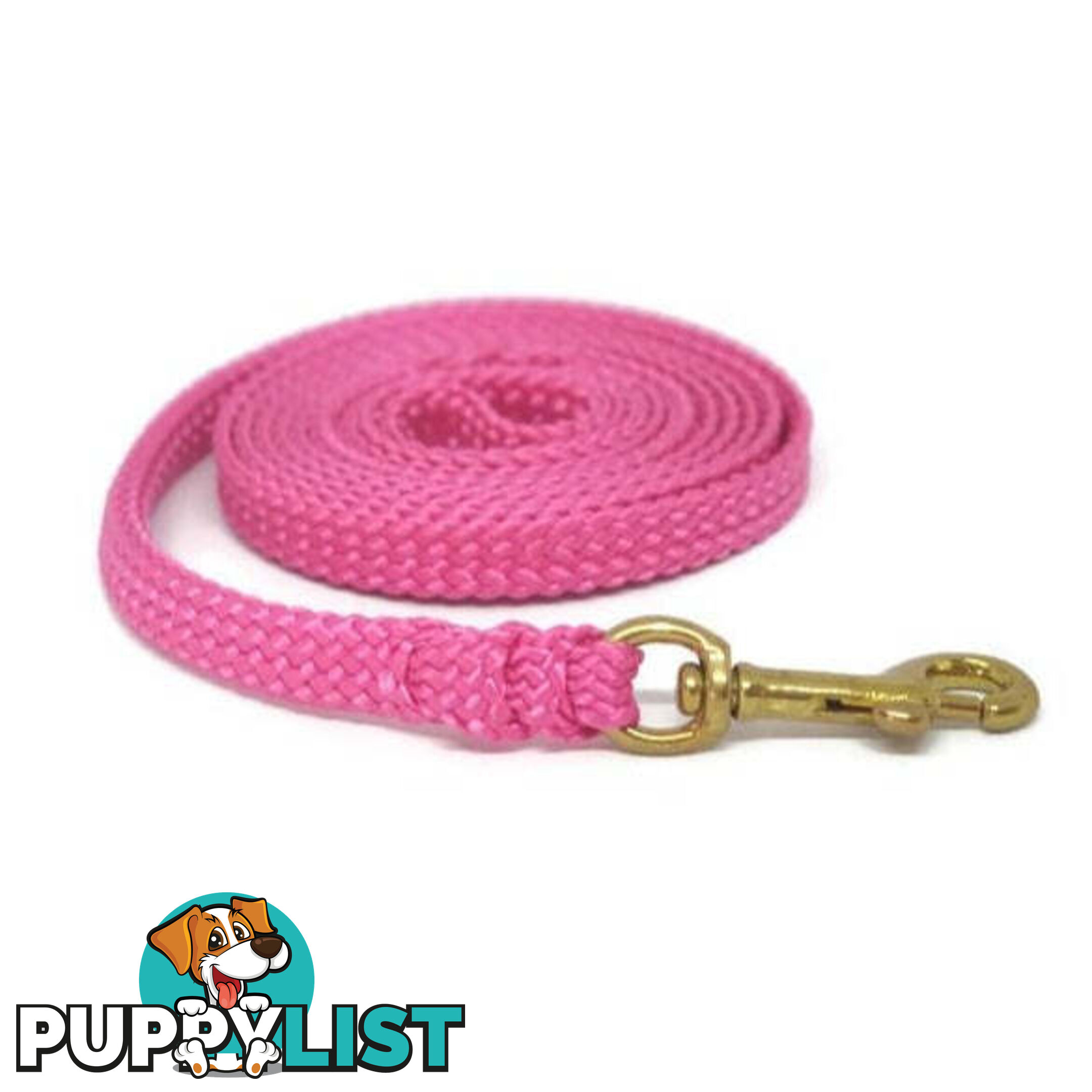 1.8m to 10m Long Dog Lead No Stitching Tough Yarnix 10mm Wide - YNXLD10-5-RD-SS