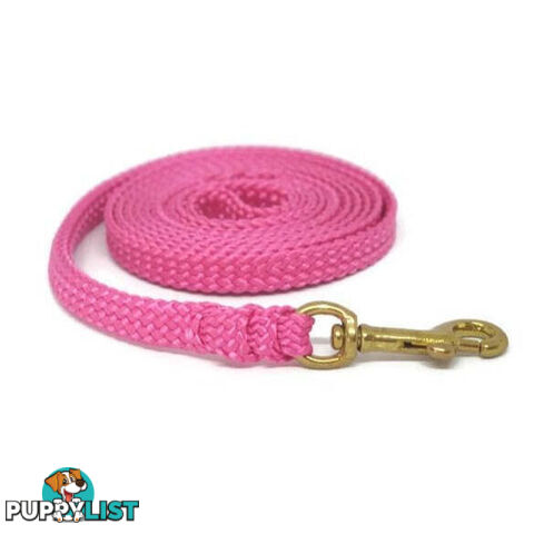 1.8m to 10m Long Dog Lead No Stitching Tough Yarnix 10mm Wide - YNXLD10-5-RD-SS