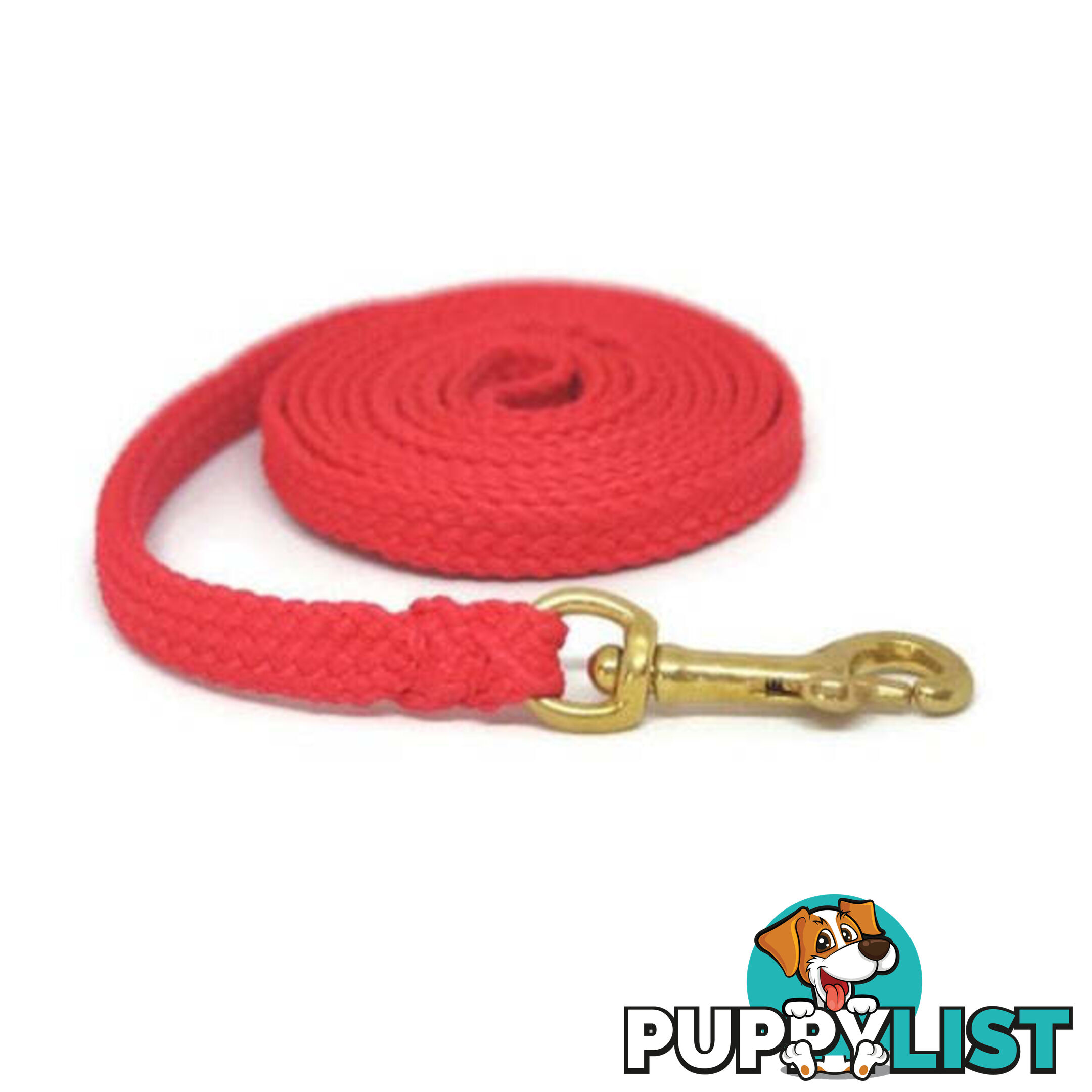 1.8m to 10m Long Dog Lead No Stitching Tough Yarnix 10mm Wide - YNXLD10-5-RD-SS