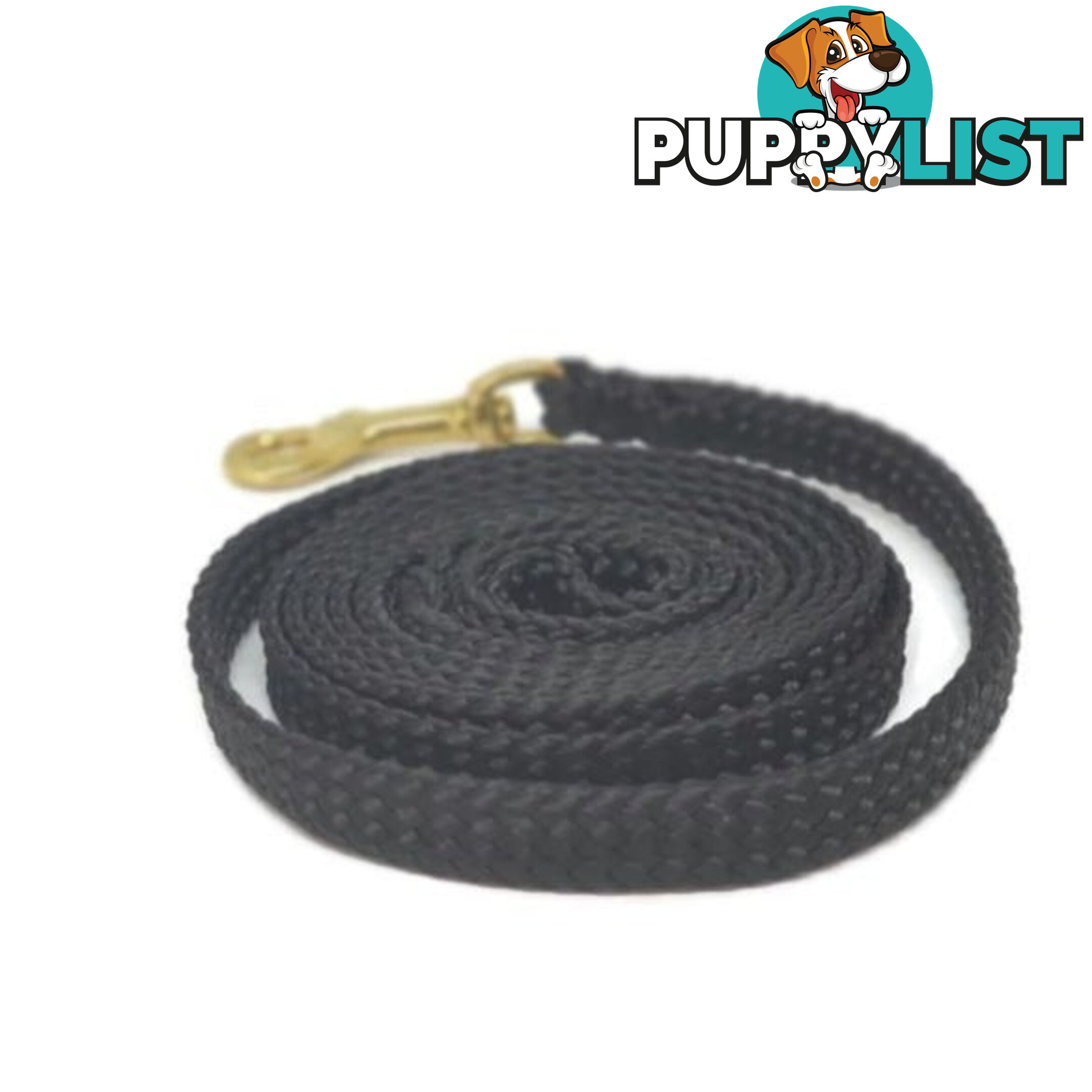 1.8m to 10m Long Dog Lead No Stitching Tough Yarnix 10mm Wide - YNXLD10-5-RD-SS