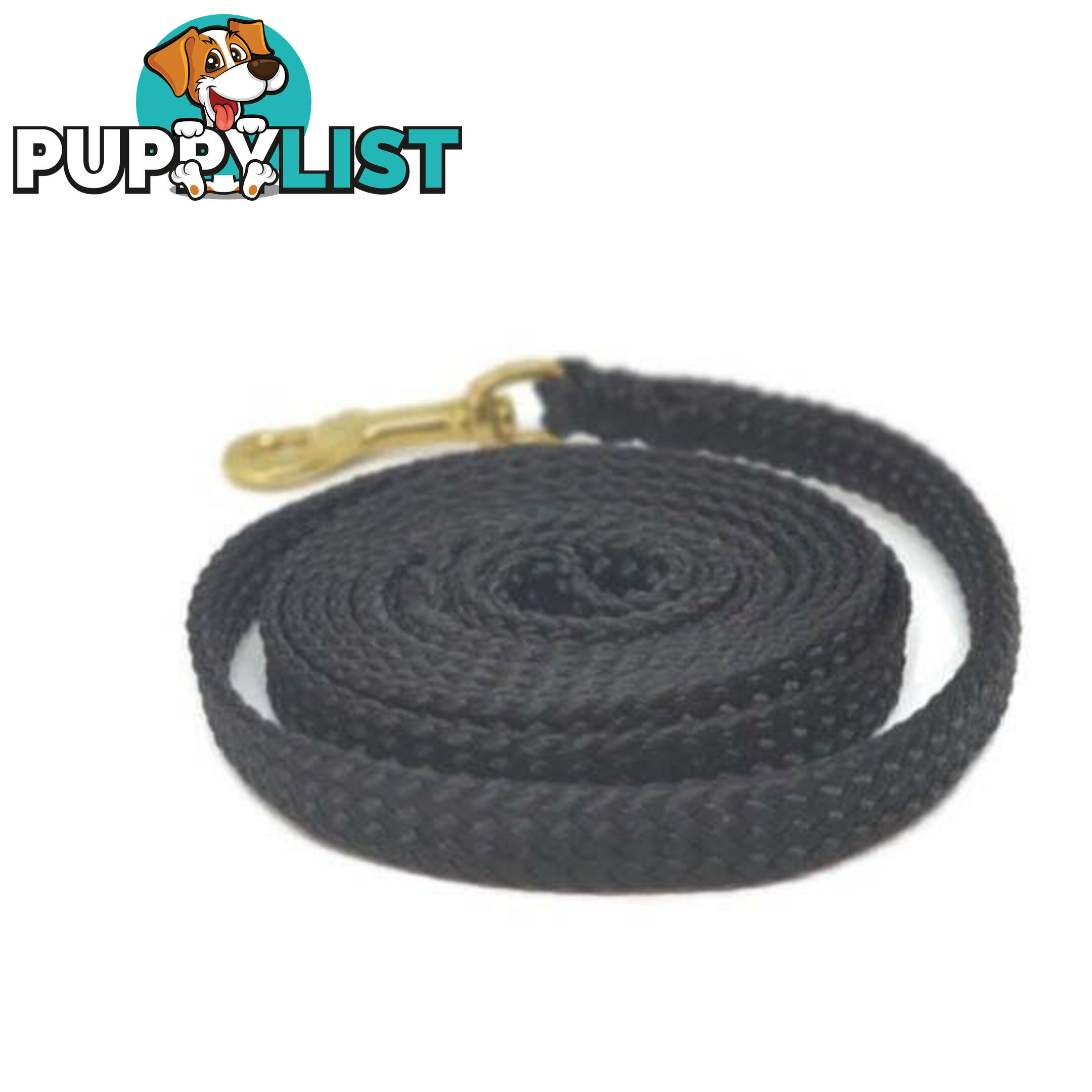 1.8m to 10m Long Dog Lead No Stitching Tough Yarnix 10mm Wide - YNXLD10-5-RD-SS