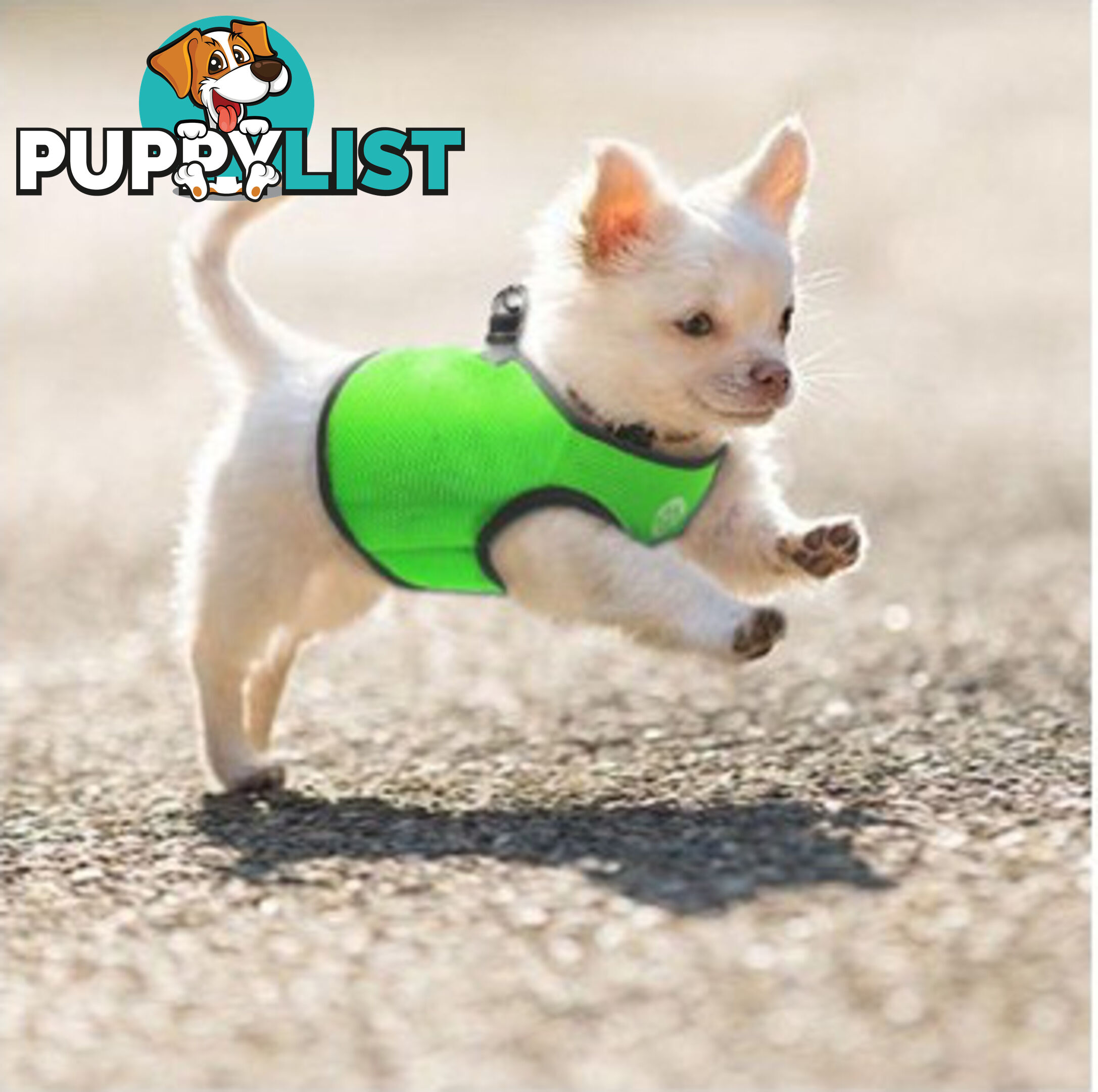 Vest Harness Pet Dog-Cat Step-in Velcro and Buckle Attachments - Moondidley Pets - MDPVESTSBLK