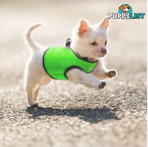 Vest Harness Pet Dog-Cat Step-in Velcro and Buckle Attachments - Moondidley Pets - MDPVESTSBLK