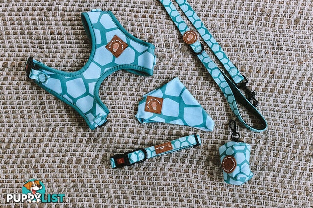 Designer Dog Harness by Explore with Paws - EWPHARPNKLN