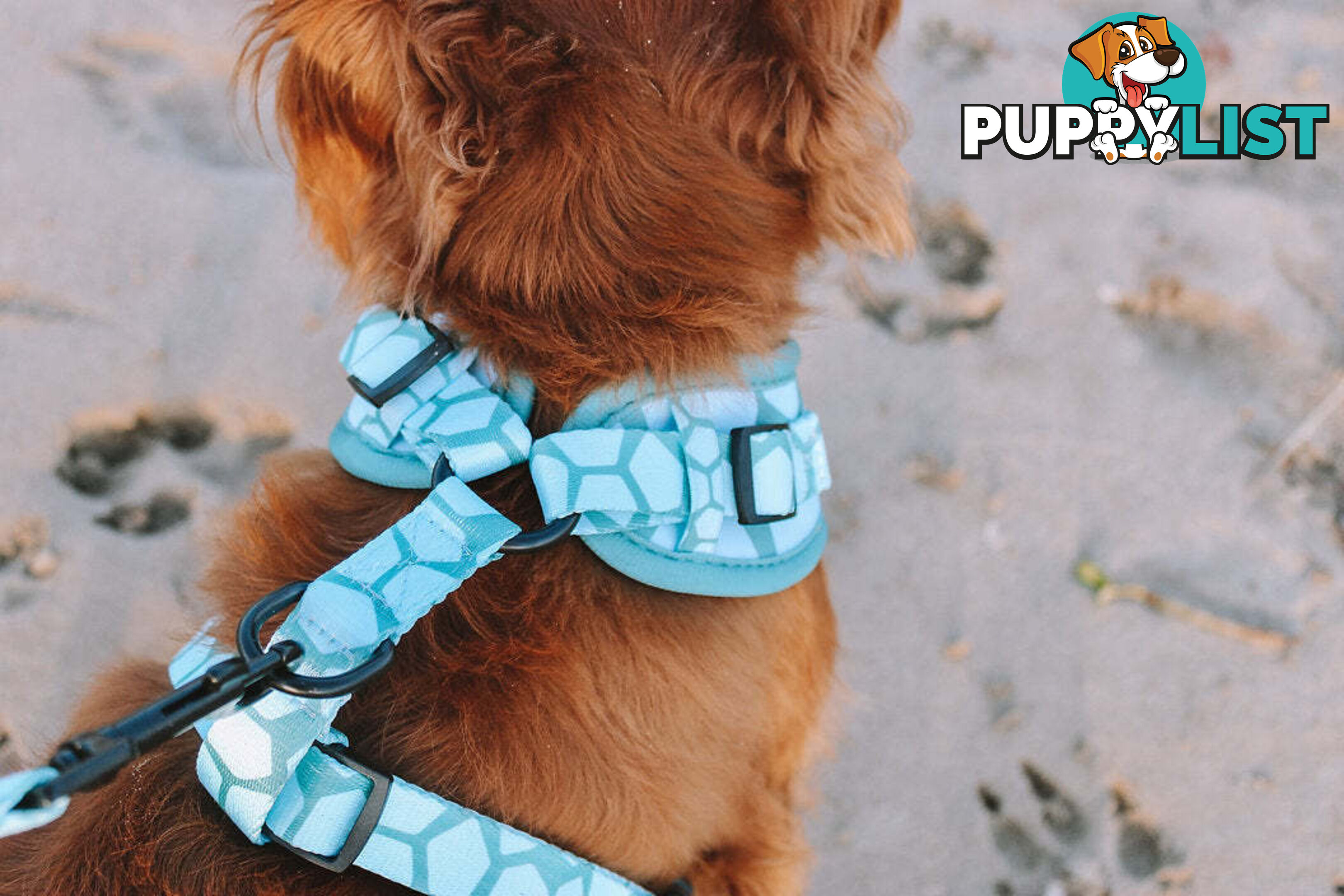 Designer Dog Harness by Explore with Paws - EWPHARPNKLN