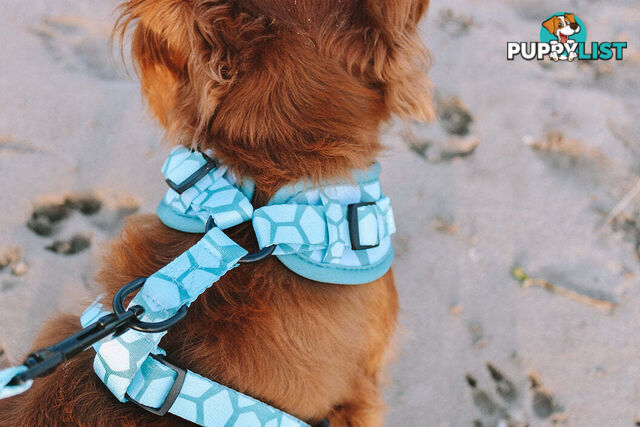 Designer Dog Harness by Explore with Paws - EWPHARPNKLN