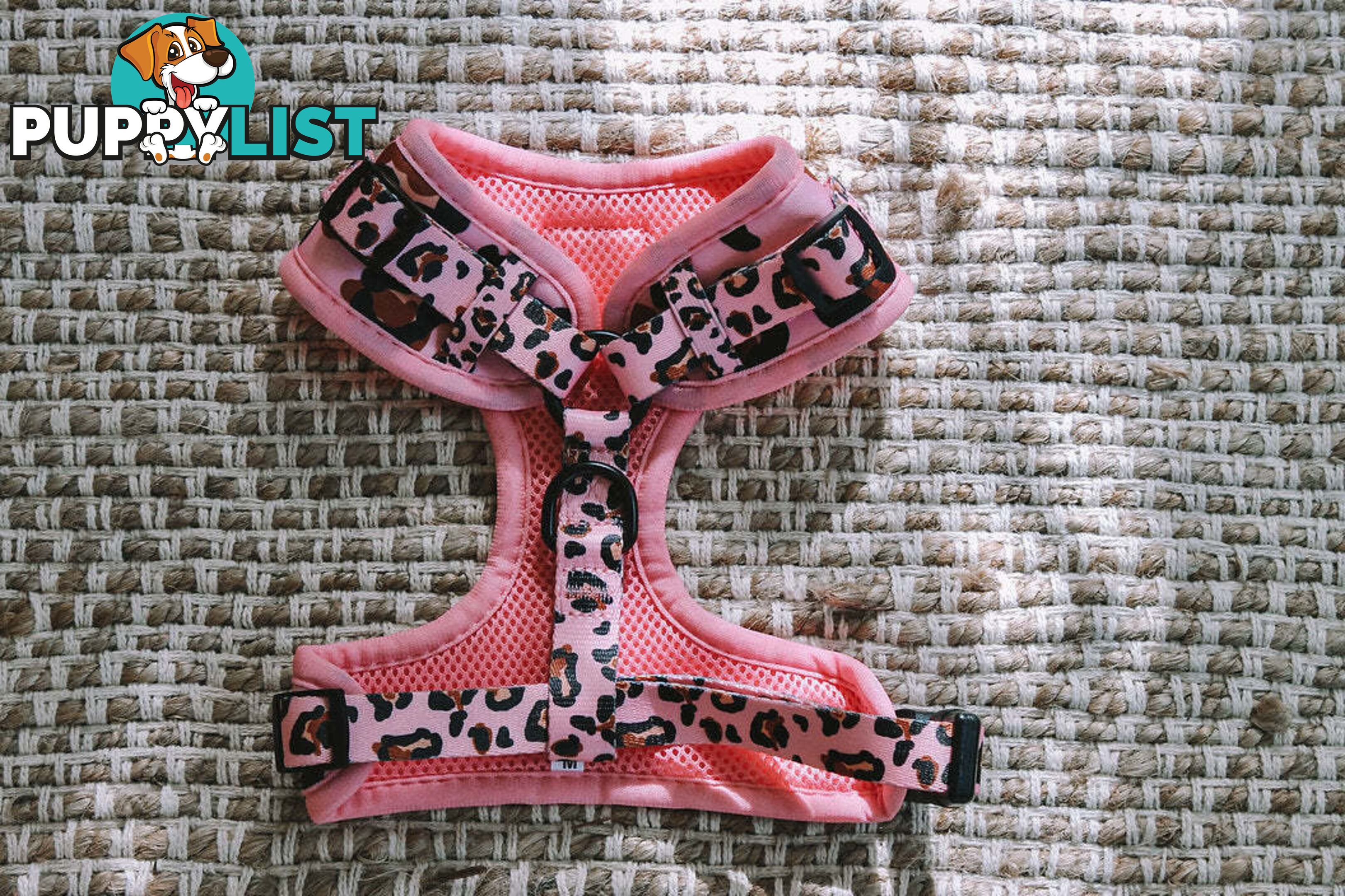 Designer Dog Harness by Explore with Paws - EWPHARPNKLN