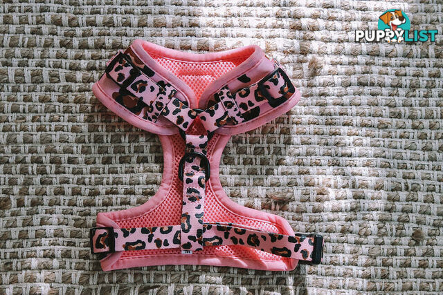 Designer Dog Harness by Explore with Paws - EWPHARPNKLN