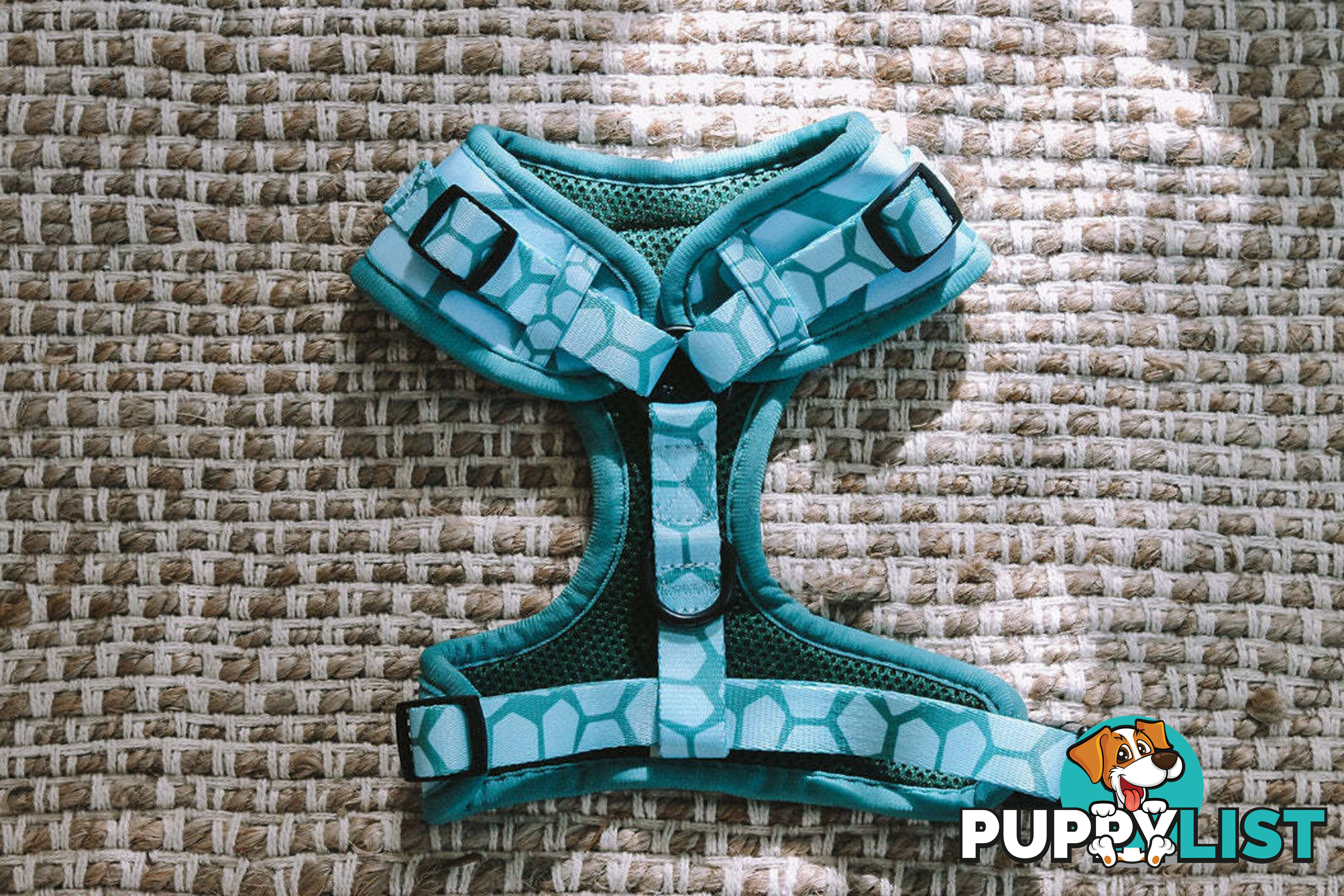 Designer Dog Harness by Explore with Paws - EWPHARPNKLN