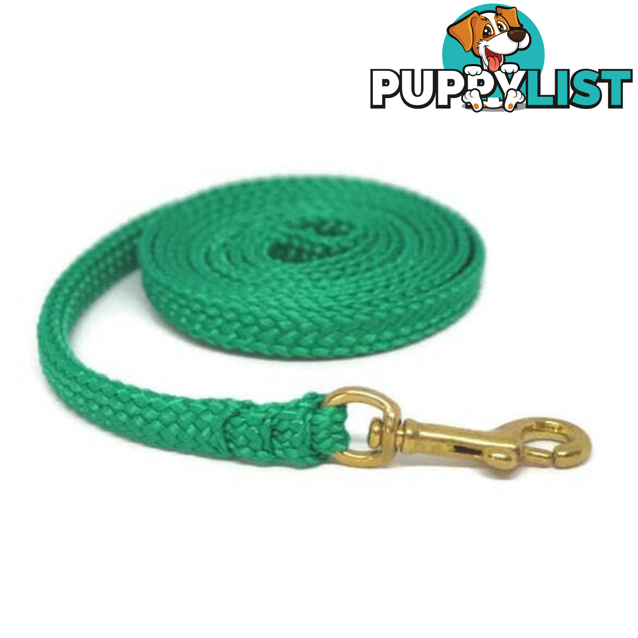1.8m to 10m Long Dog Lead No Stitching Tough Yarnix 10mm Wide - YNXLD10-5-YEL-SS