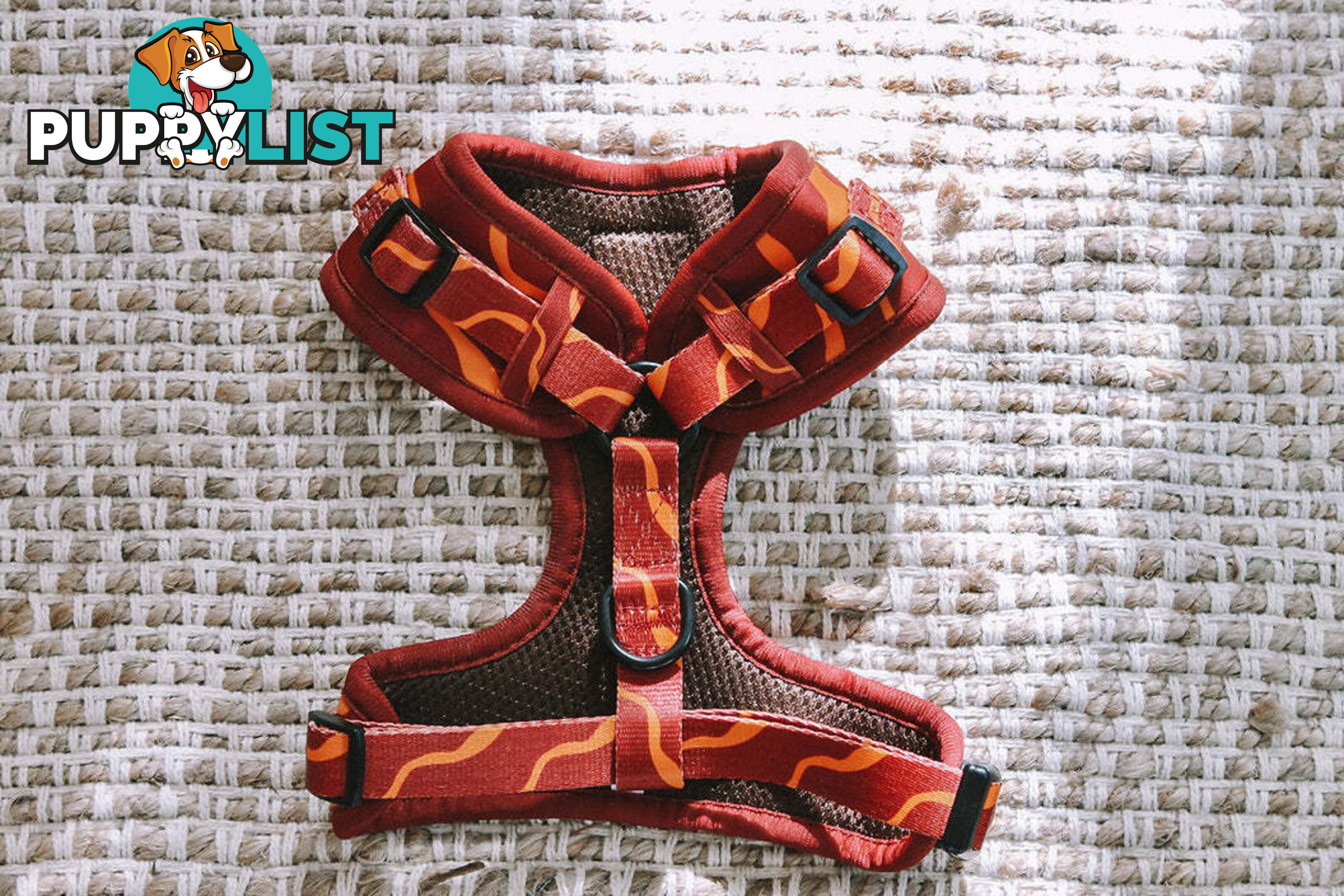 Designer Dog Harness by Explore with Paws - EWPHARPNKXSN