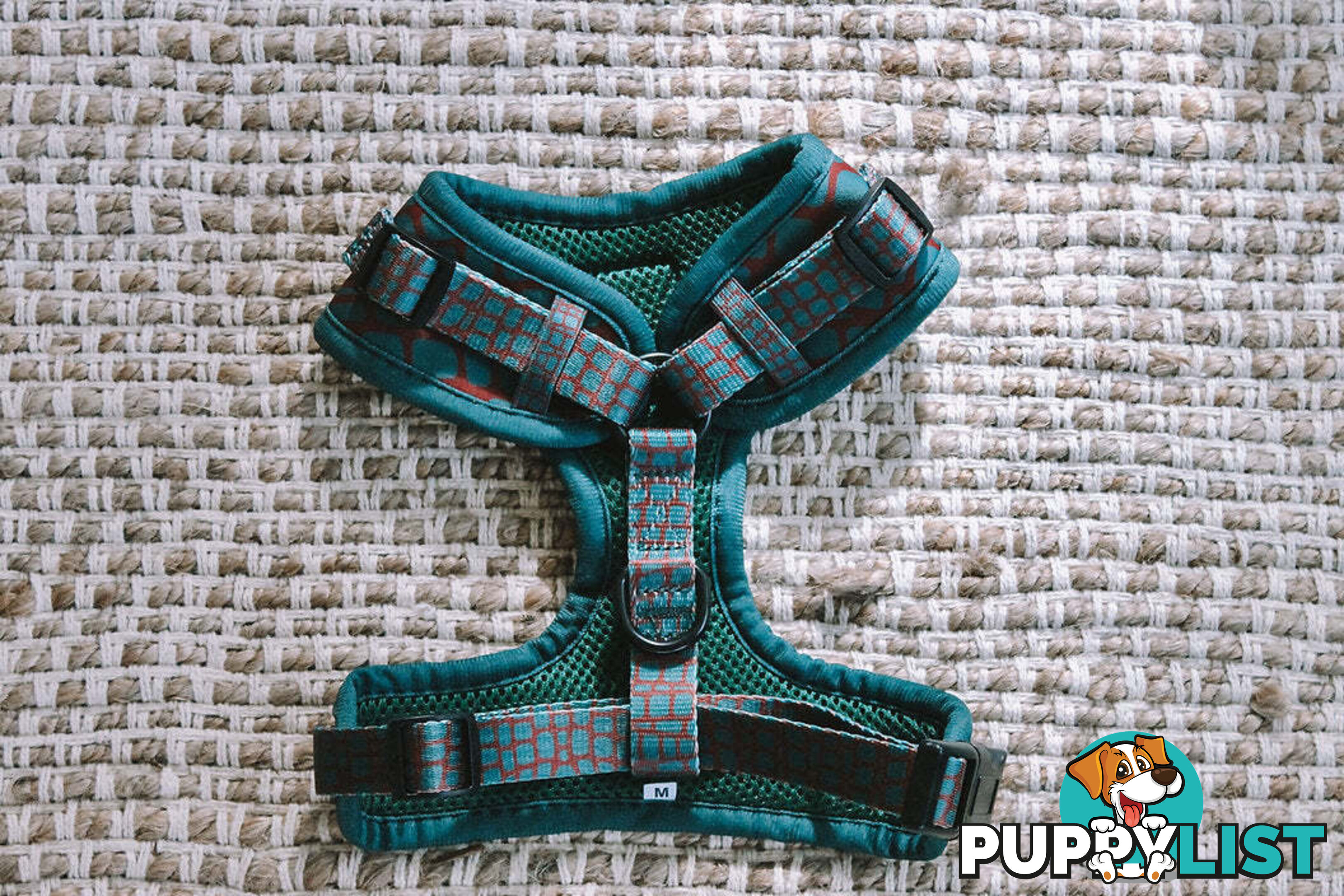 Designer Dog Harness by Explore with Paws - EWPHARPNKXSN