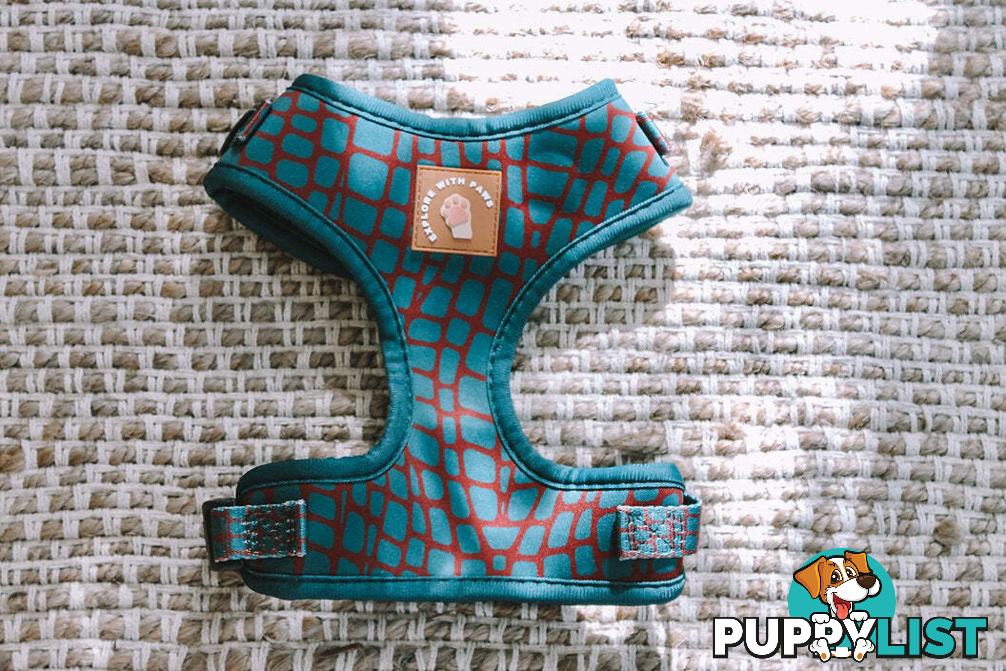 Designer Dog Harness by Explore with Paws - EWPHARPNKXSN