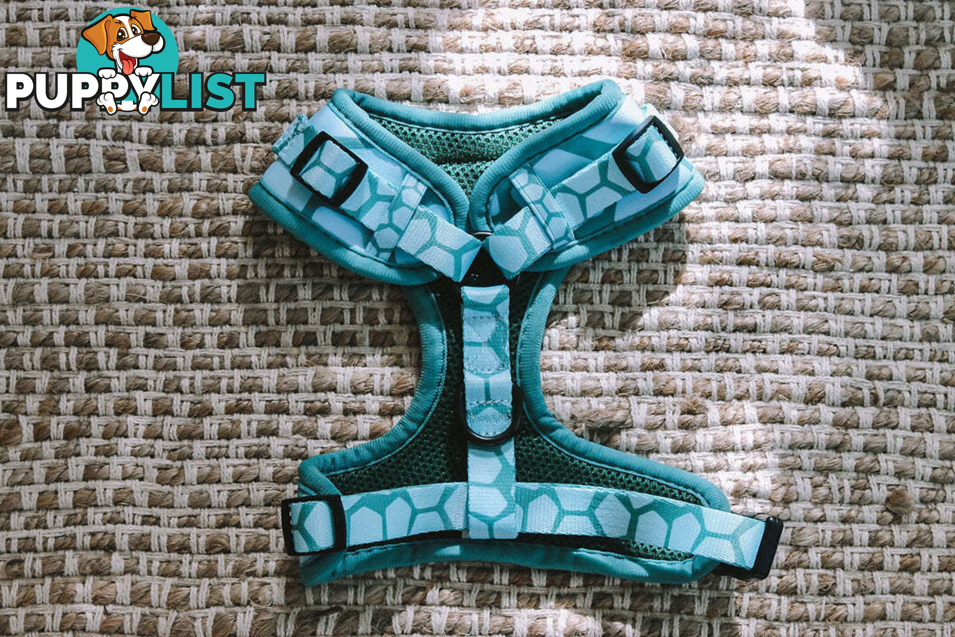 Designer Dog Harness by Explore with Paws - EWPHARPNKXSN
