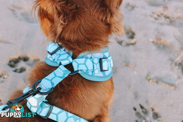Designer Dog Harness by Explore with Paws - EWPHARPNKXSN