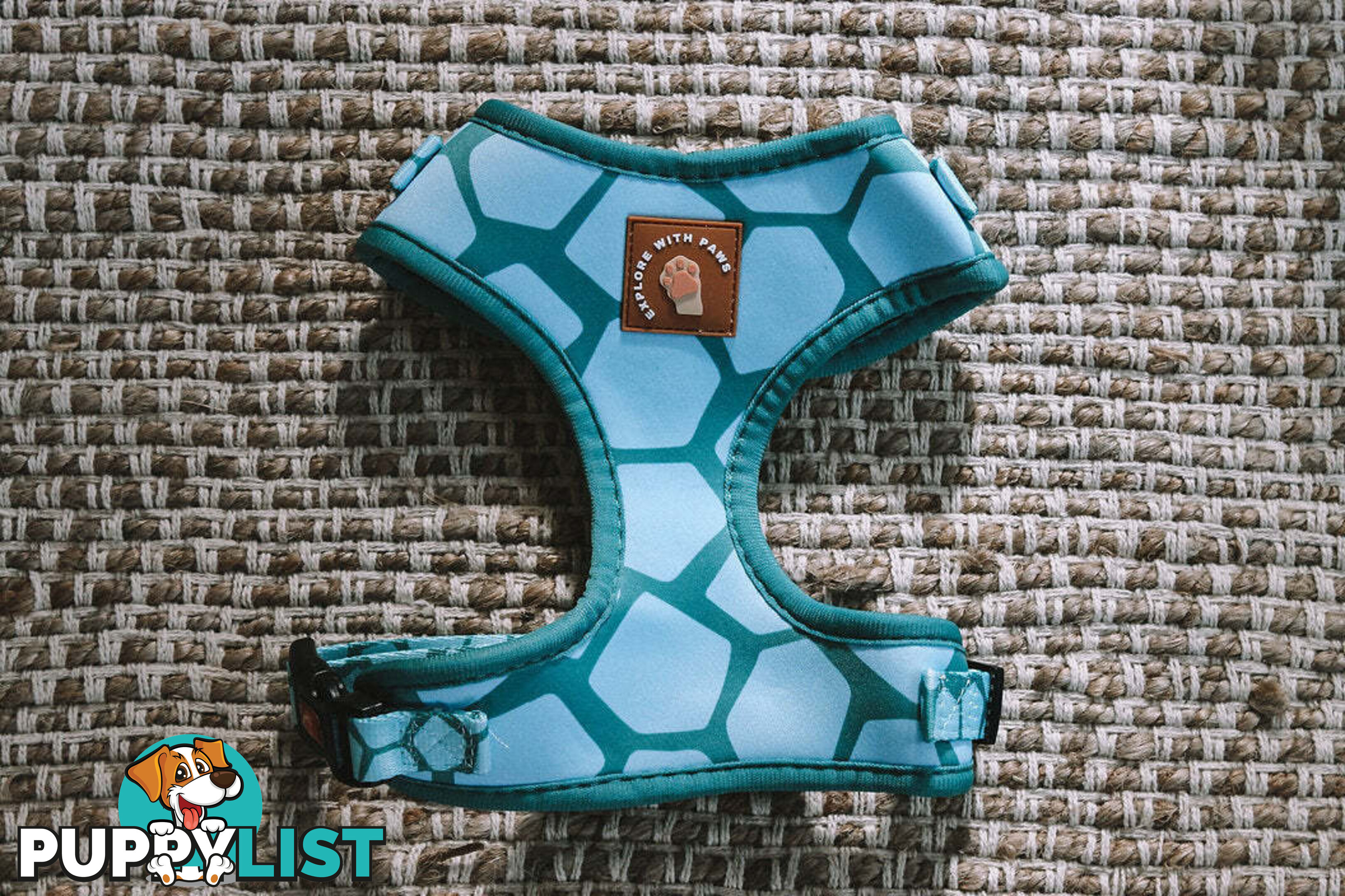 Designer Dog Harness by Explore with Paws - EWPHARPNKXSN