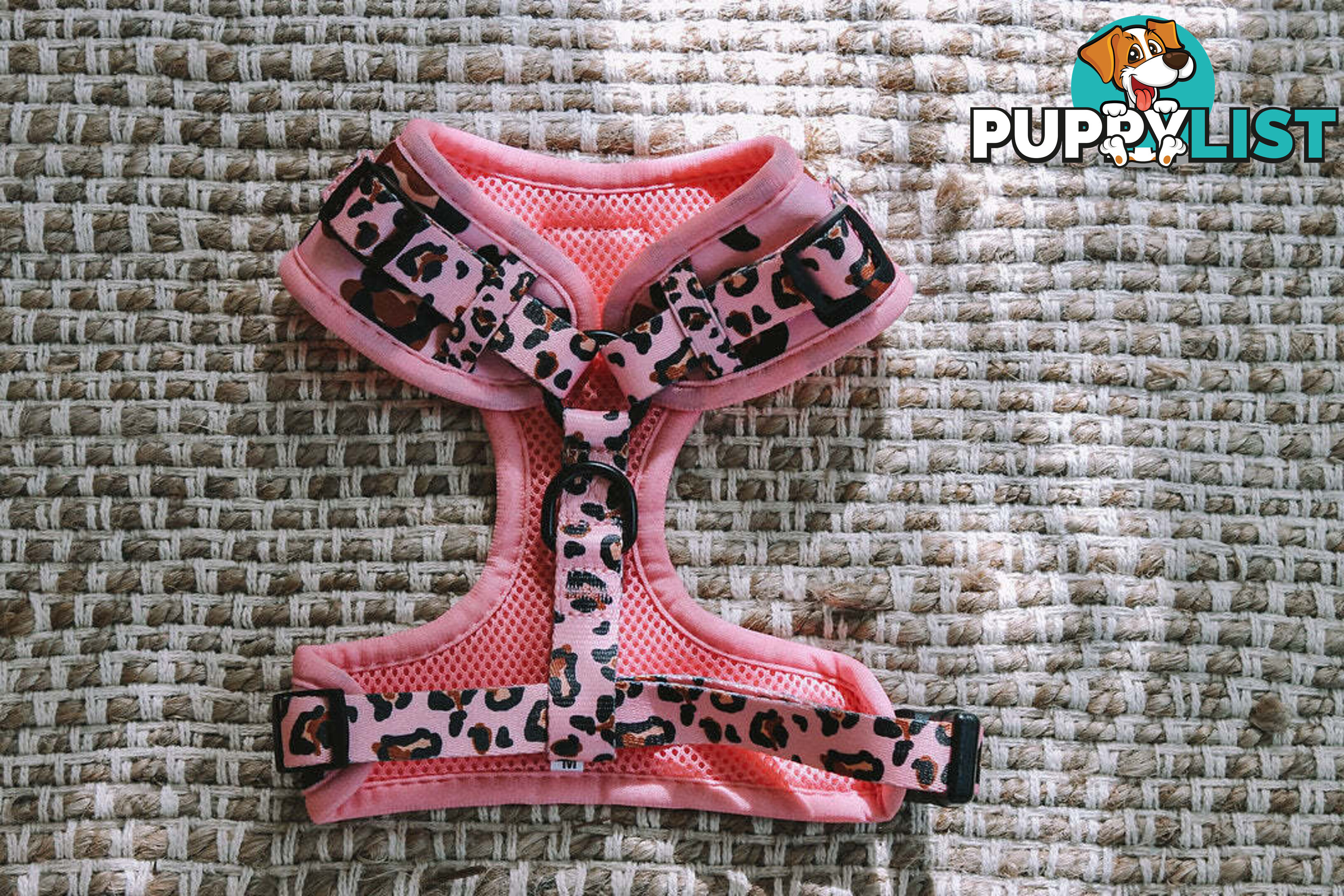 Designer Dog Harness by Explore with Paws - EWPHARPNKXSN