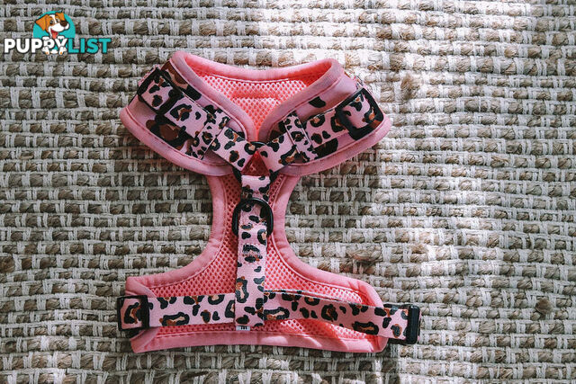 Designer Dog Harness by Explore with Paws - EWPHARPNKXSN