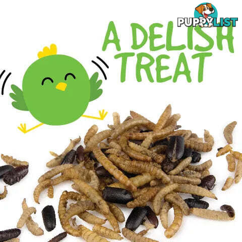 DRIED BUG MIX - BAINBRIDGE - BB-A8454