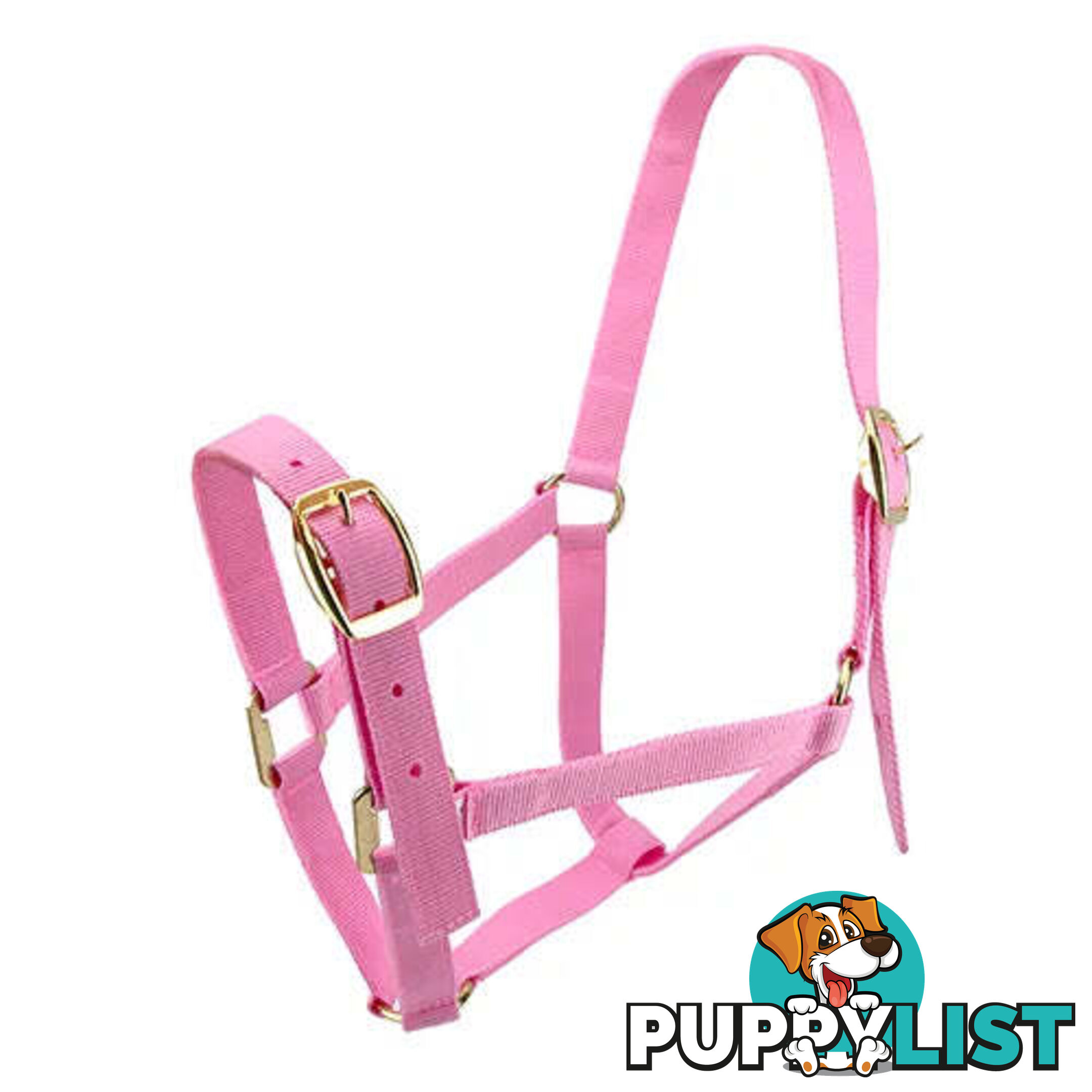 Click to Enlarge HORSE HALTERS - BAINBRIDGE - BB-A2202-PNK