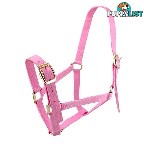Click to Enlarge HORSE HALTERS - BAINBRIDGE - BB-A2202-PNK