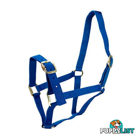 Click to Enlarge HORSE HALTERS - BAINBRIDGE - BB-A2202-PNK