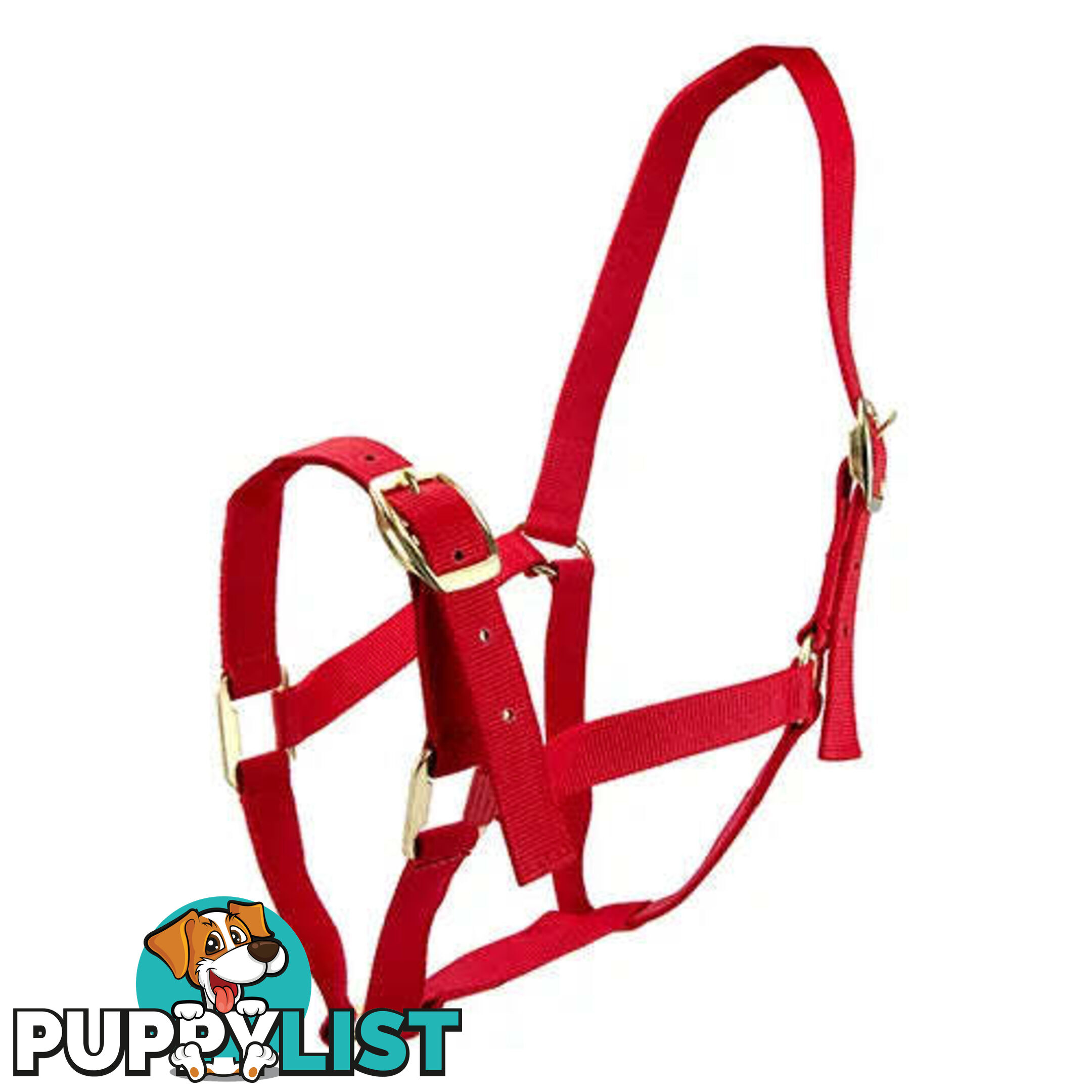 Click to Enlarge HORSE HALTERS - BAINBRIDGE - BB-A2202-PNK