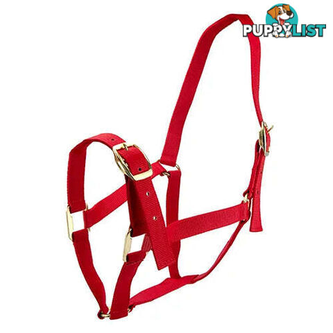 Click to Enlarge HORSE HALTERS - BAINBRIDGE - BB-A2202-PNK