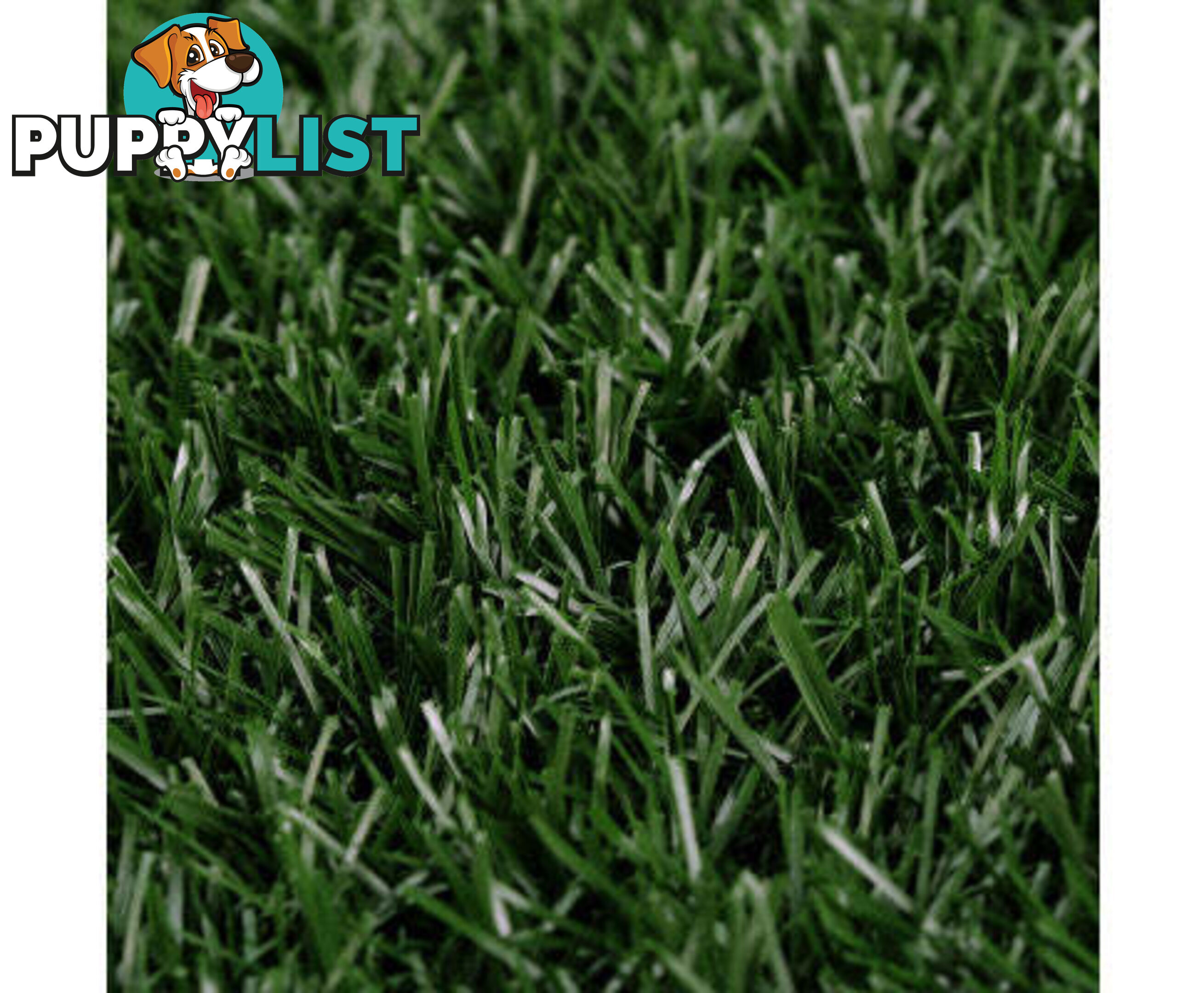 Paw Mate Grass Mat for Pet Dog Potty Tray Training Toilet 58.5cm x 46cm - V274-PET-MAT-208A
