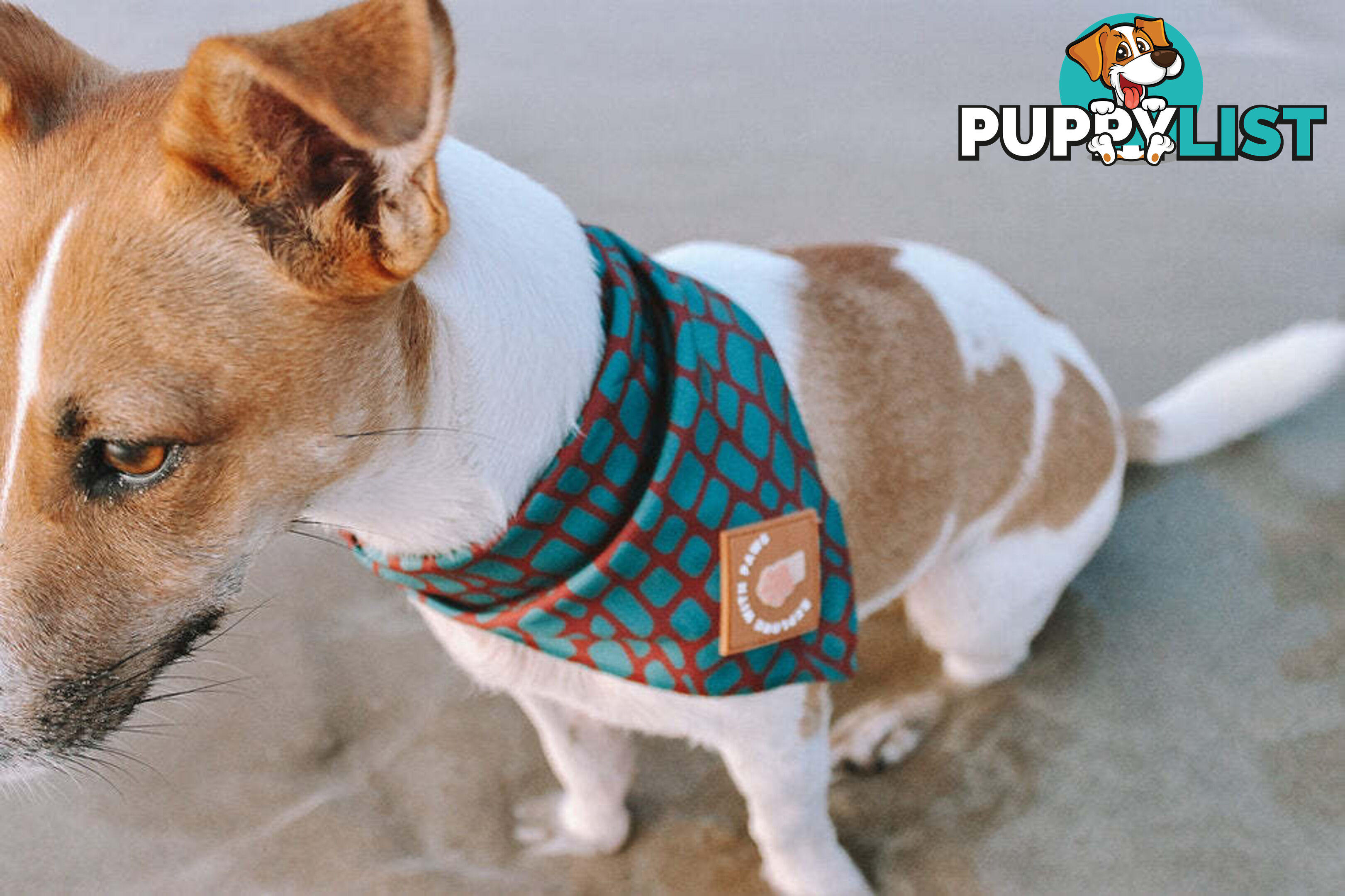 Designer Dog Bandana's by Explore with Paws - EWPBANLTUR
