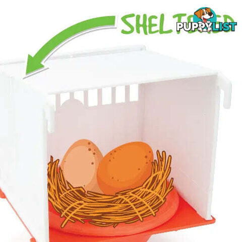 PLASTIC BIRD LAYING NEST - HOUSED - BAINBRIDGE - BB-A8177