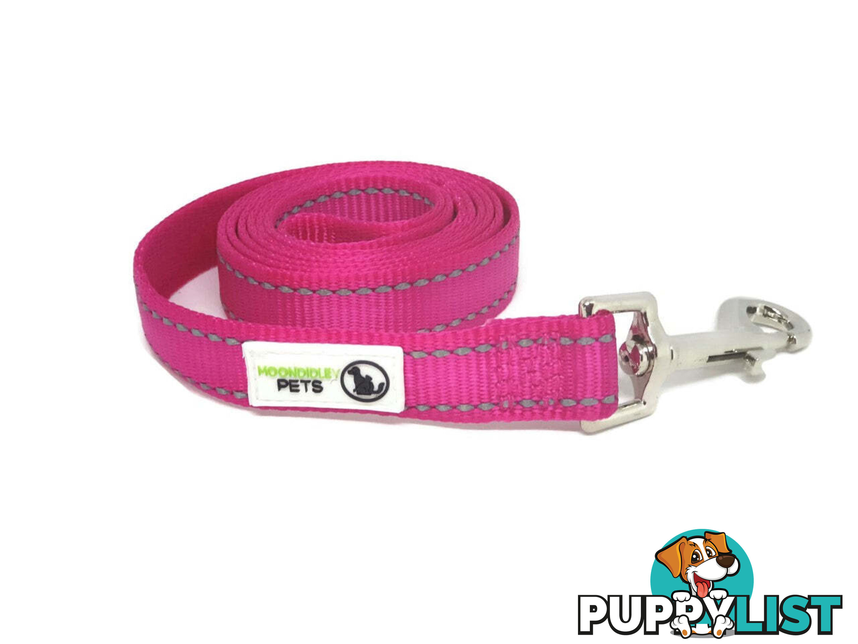 10m Long Nylon w/Reflective Stitching Dog Lead - Moondidley Pets - MDPLDREFLBLU2510