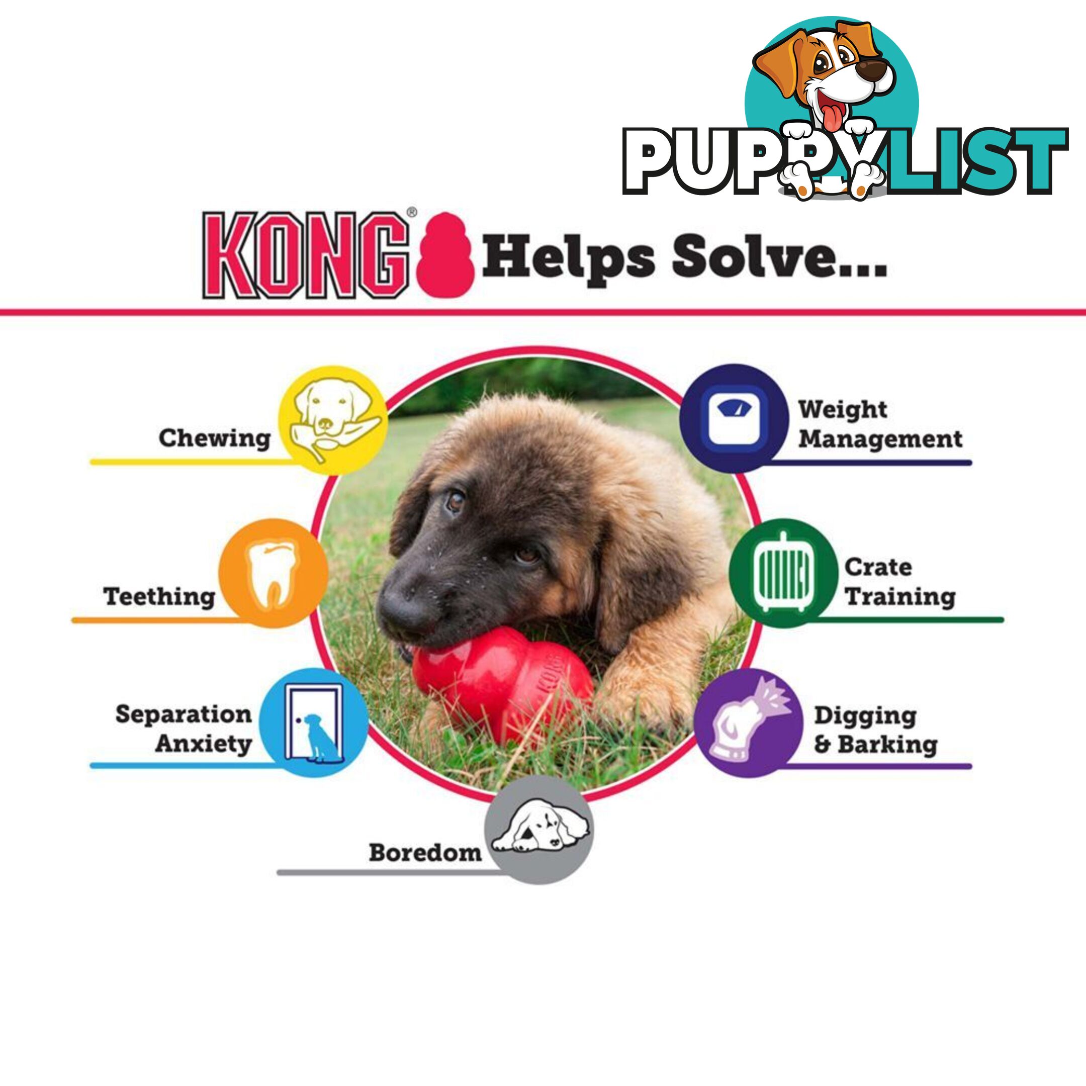 KONG Classic Dog Toy - FC-	T2