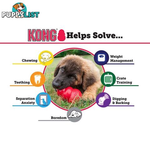 KONG Classic Dog Toy - FC-	T2