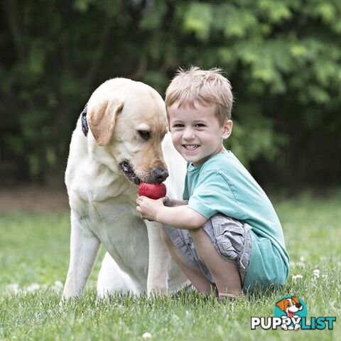 KONG Classic Dog Toy - FC-	T2
