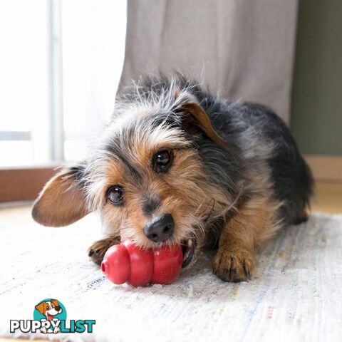 KONG Classic Dog Toy - FC-	T2