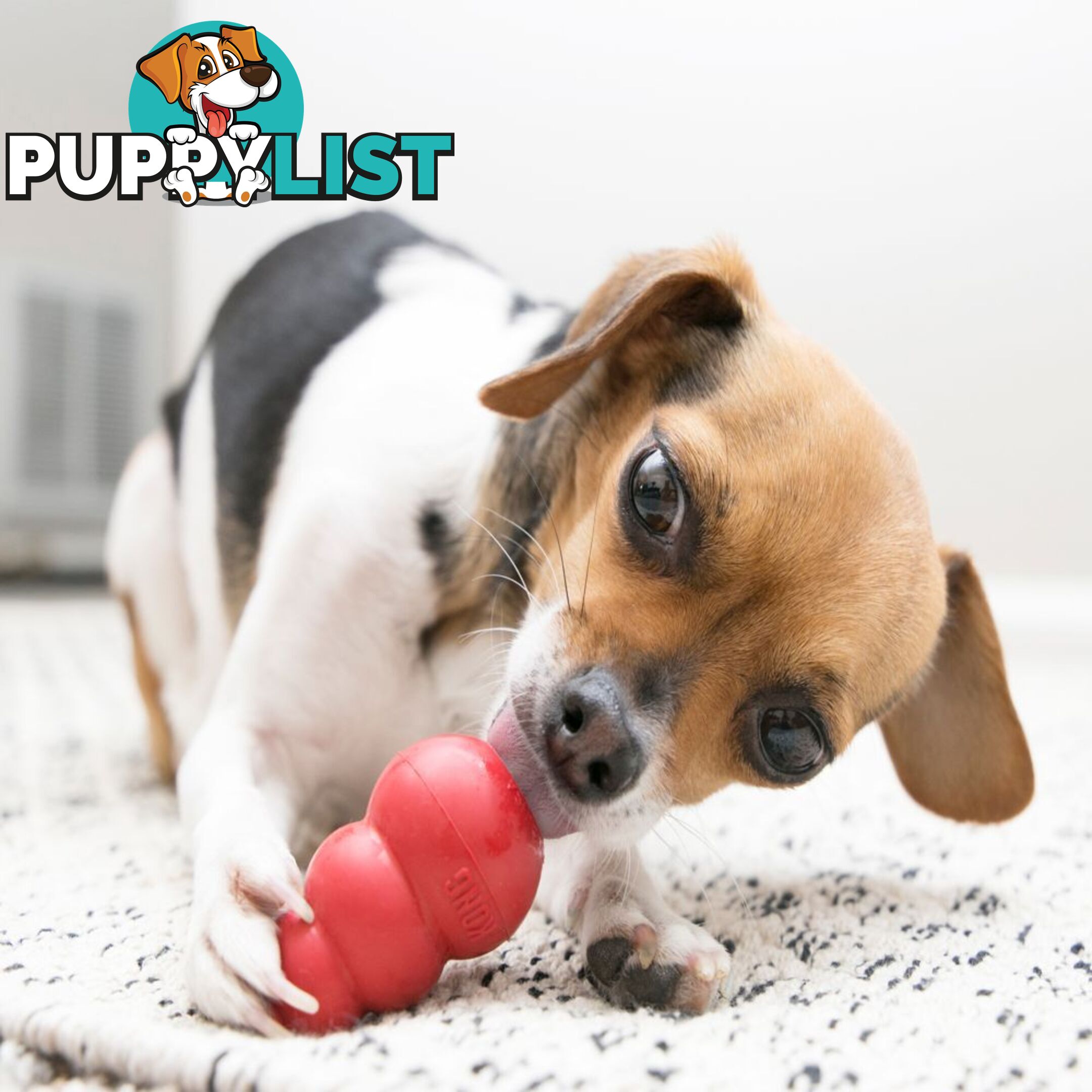 KONG Classic Dog Toy - FC-	T2