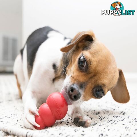 KONG Classic Dog Toy - FC-	T2