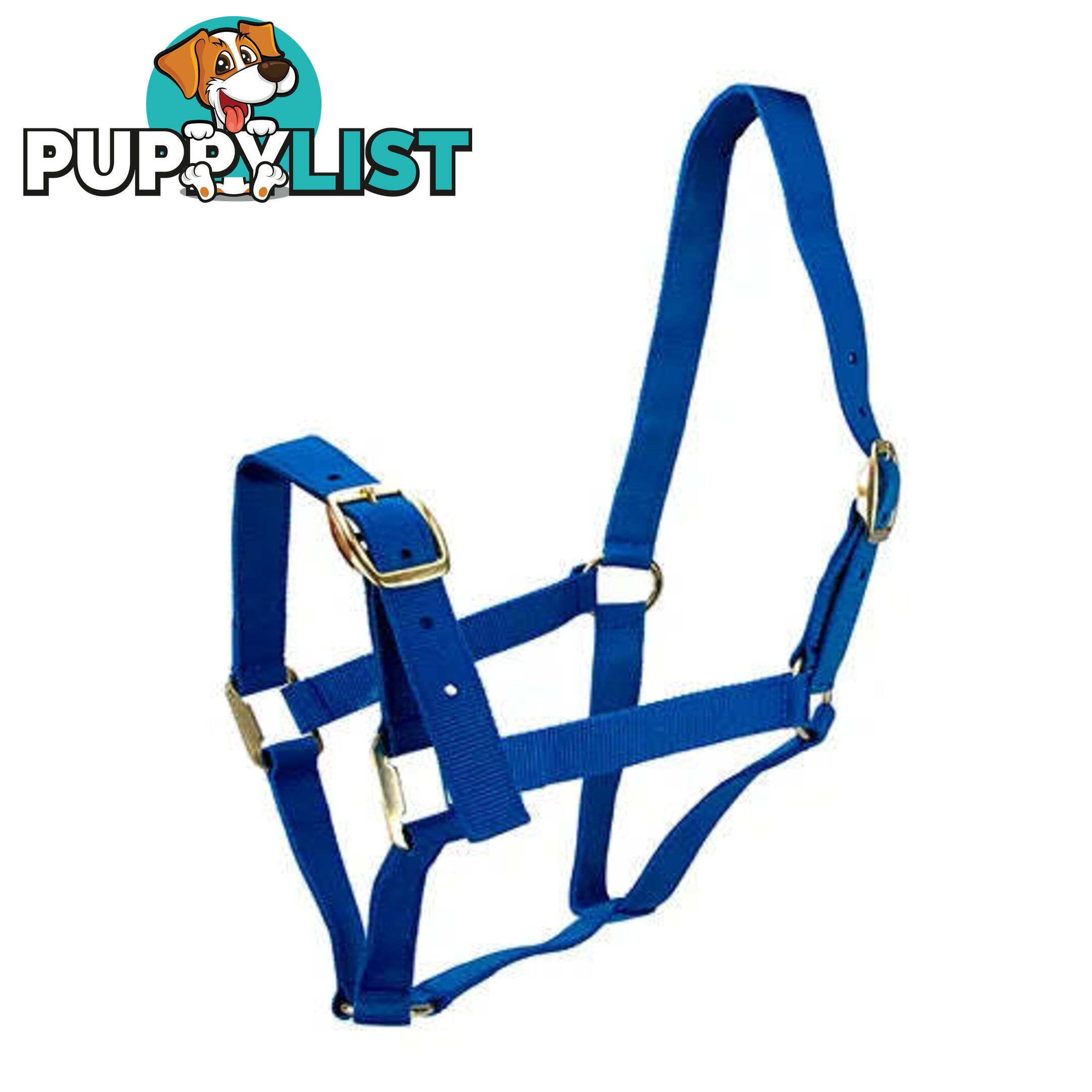 Click to Enlarge HORSE HALTERS - BAINBRIDGE - BB-A2202-BLK