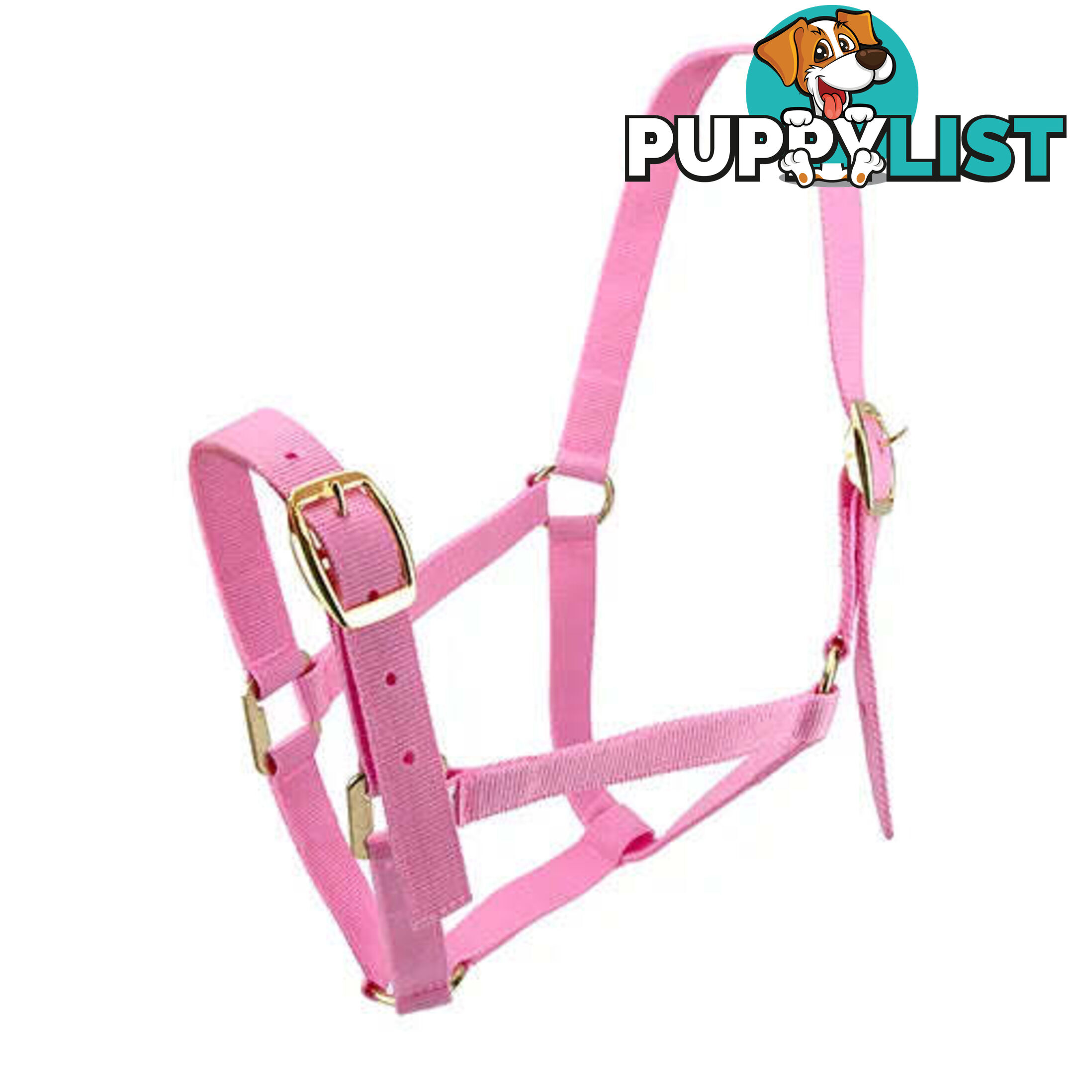 Click to Enlarge HORSE HALTERS - BAINBRIDGE - BB-A2202-BLK