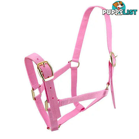 Click to Enlarge HORSE HALTERS - BAINBRIDGE - BB-A2202-BLK